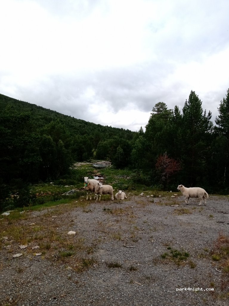 (2693) Nordberg - Unnamed Road — foto 3