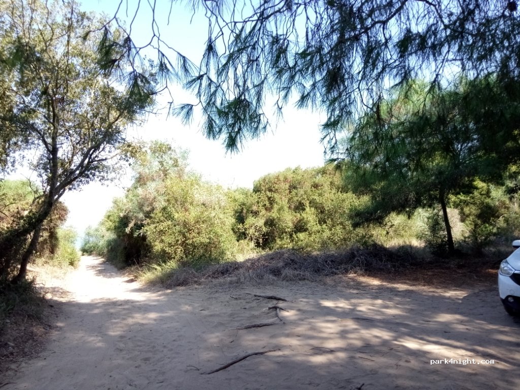 (272 00) Palouki - Paloukiou — foto 3