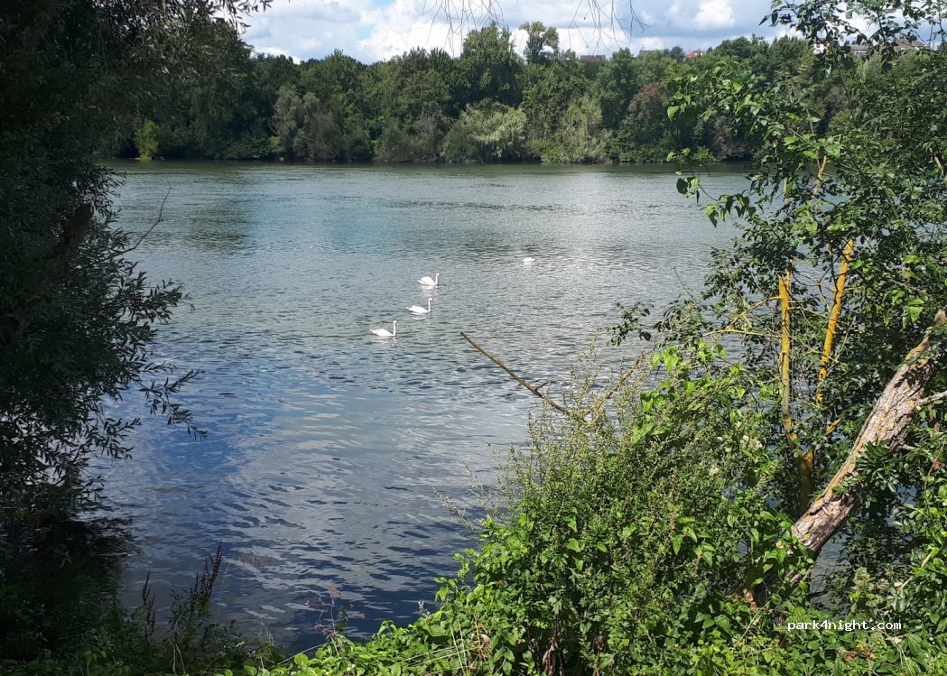 (76320) Saint-Pierre-lès-Elbeuf - 528-640 Chemin de Halage — foto 3