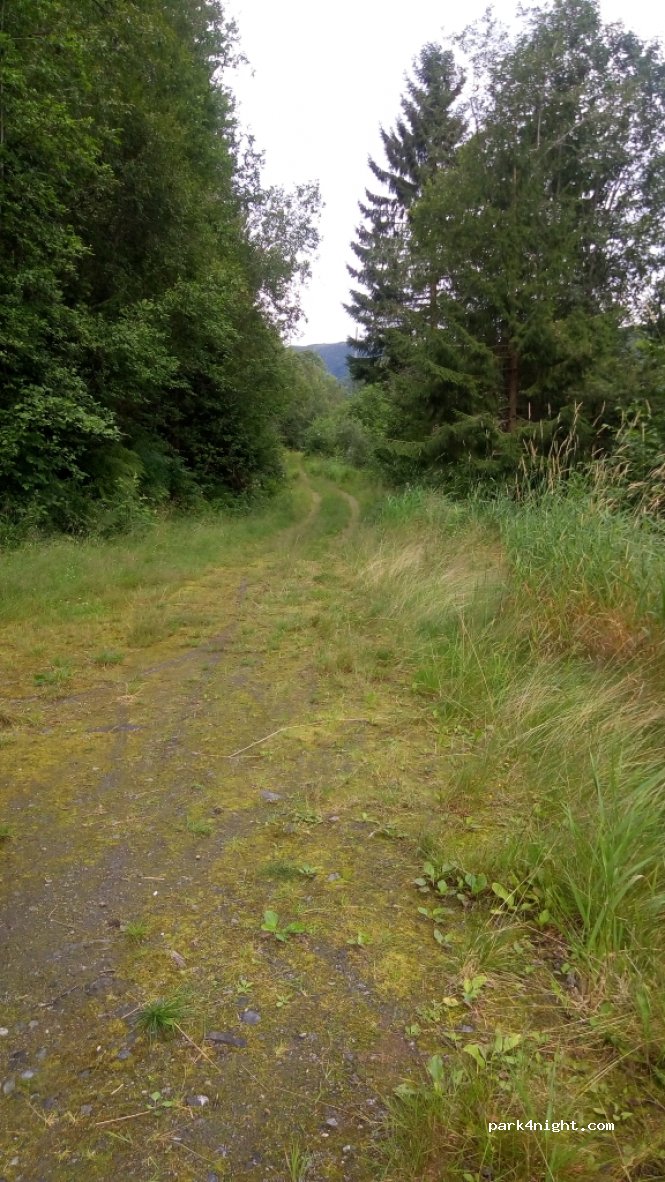 (6893) Vik I Sogn - Unnamed Road — foto