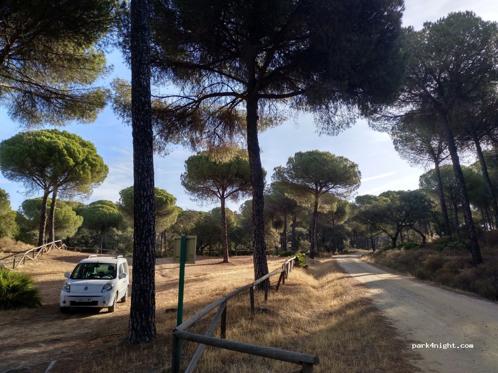 (41440) Lora del Río - Unnamed Road — foto