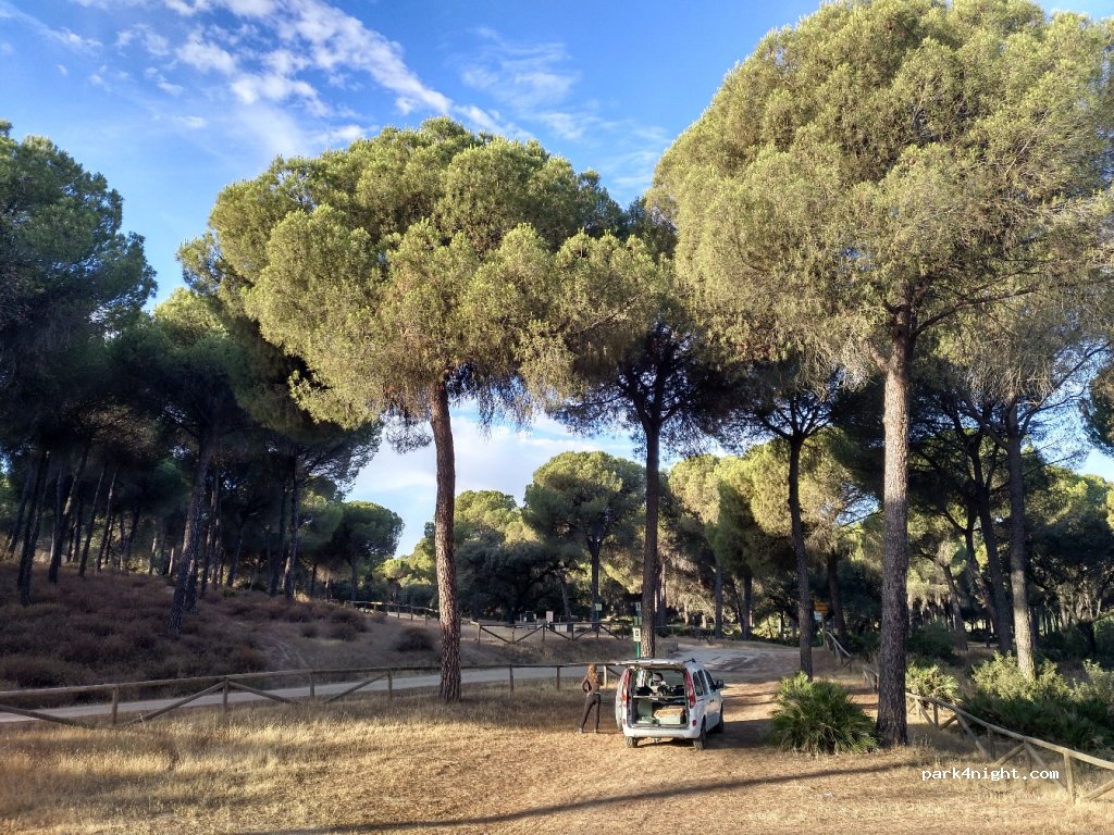 (41440) Lora del Río - Unnamed Road — foto 2