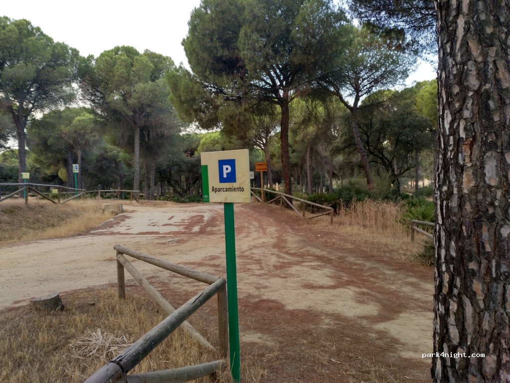 (41440) Lora del Río - Unnamed Road — foto 3