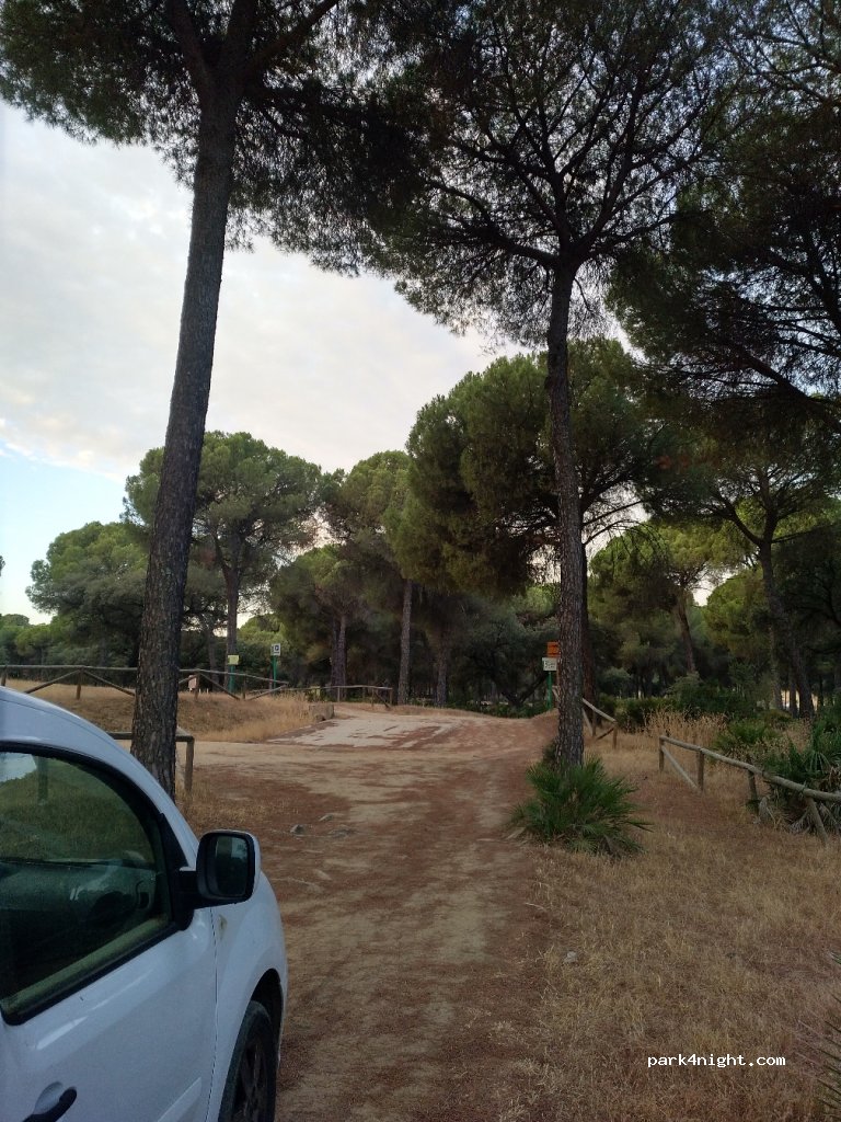 (41440) Lora del Río - Unnamed Road — foto 4