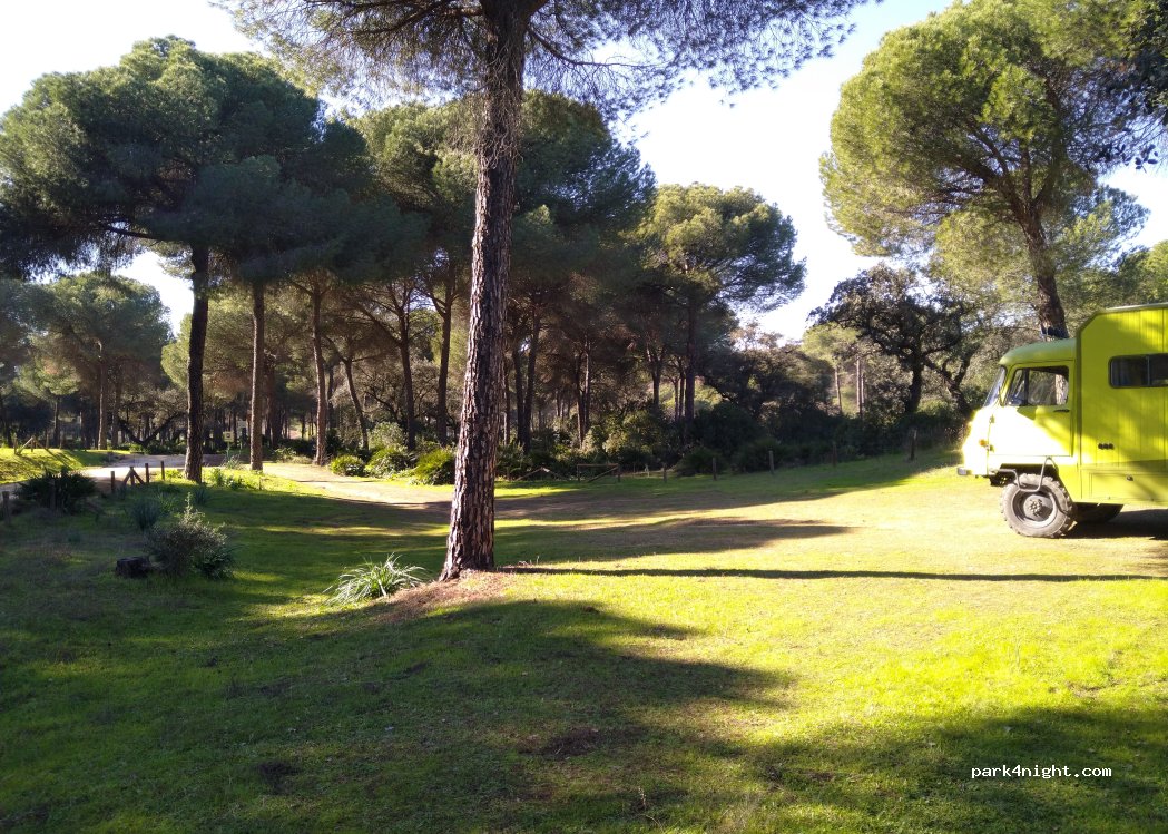 (41440) Lora del Río - Unnamed Road — foto 5