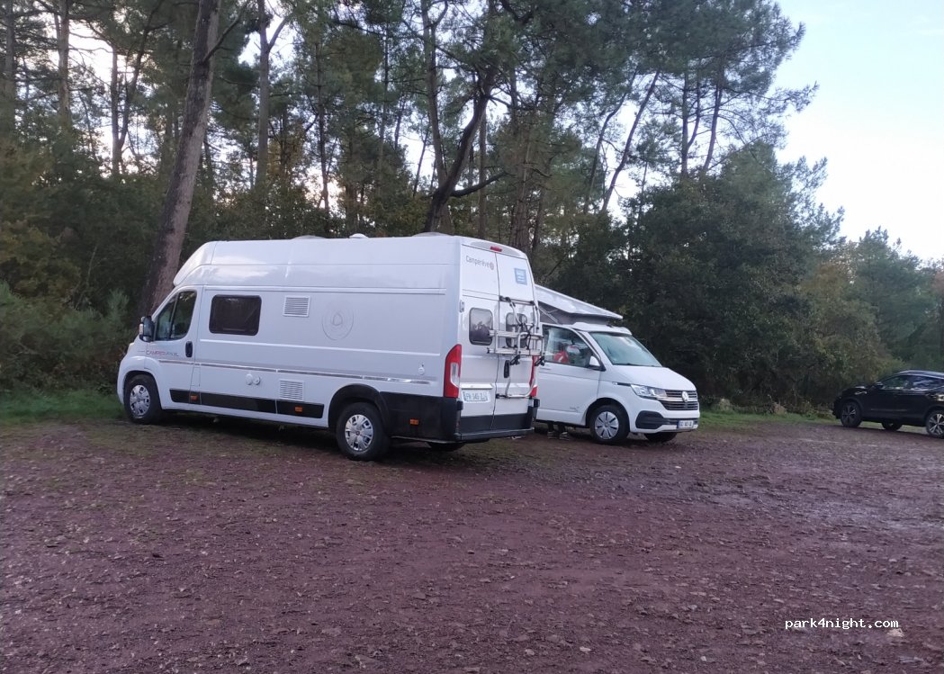 (35380) Paimpont - Folle Pensée — foto 2