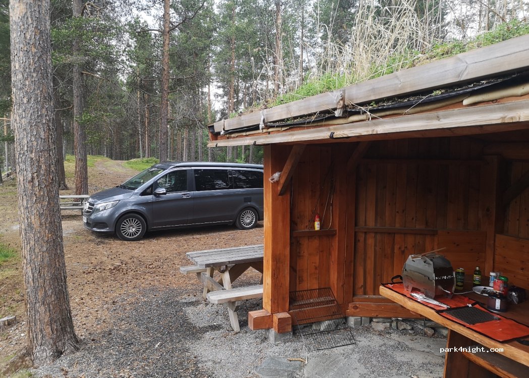 (2540) Tolga - Sekundær Fylkesvei 30 — foto 3