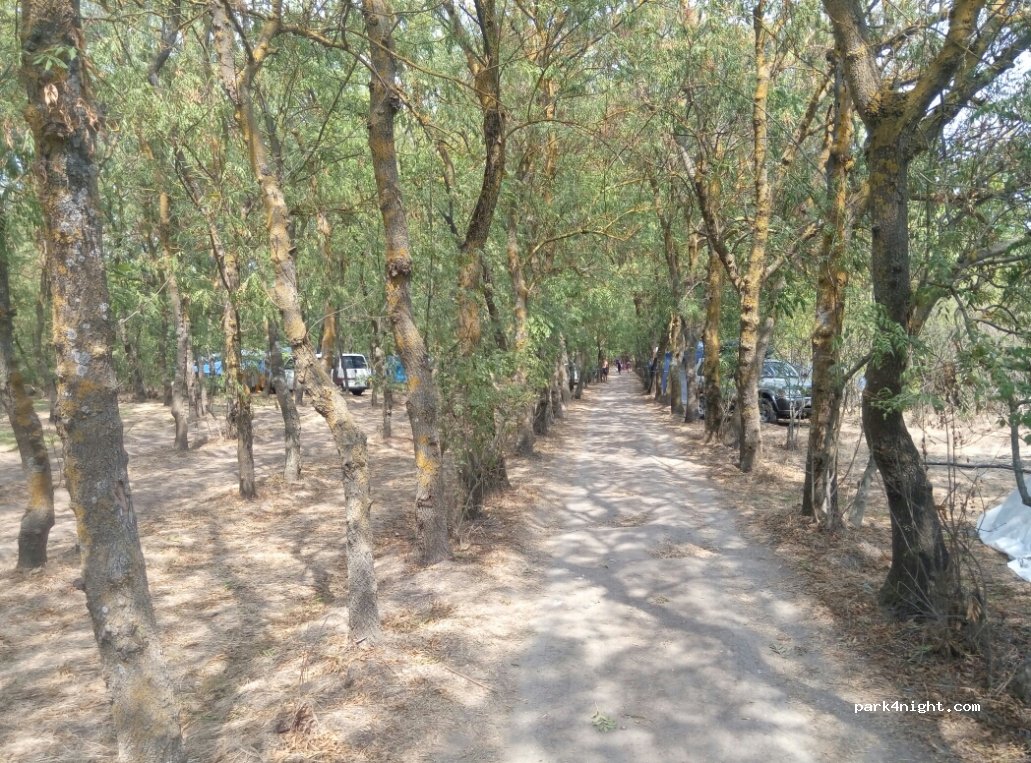 (68163) Lebedivka - Vulytsya Dachna — foto