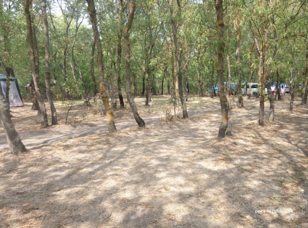 (68163) Lebedivka - Vulytsya Dachna — foto 2