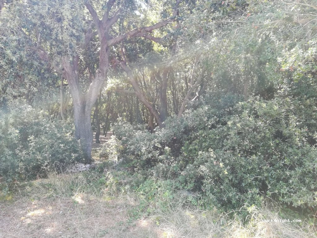 (73026) Borgagne - Unnamed Road — foto 3