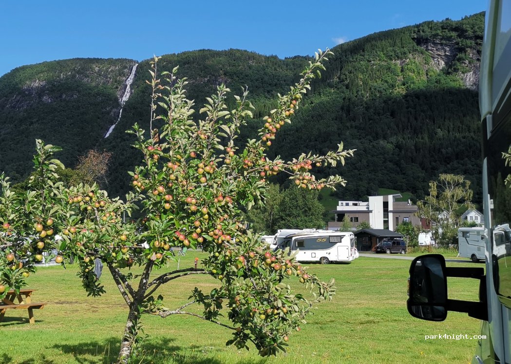 Vik camping — foto 4