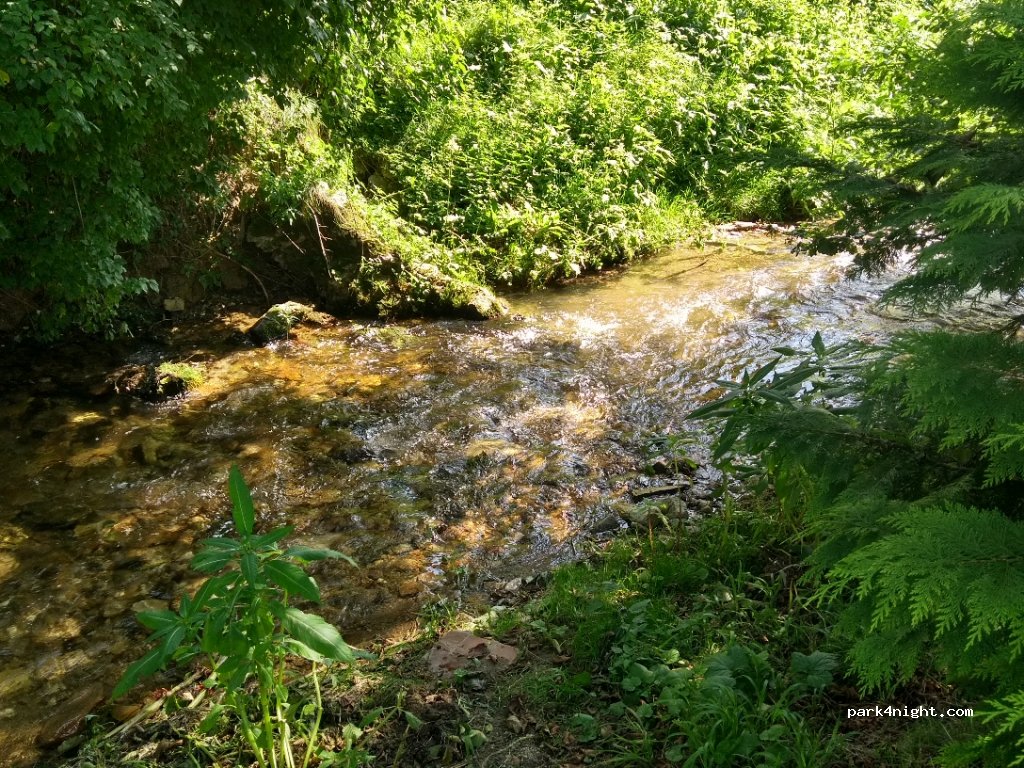 (3205) Vitanje - 3 Cesta na Roglo — foto 2