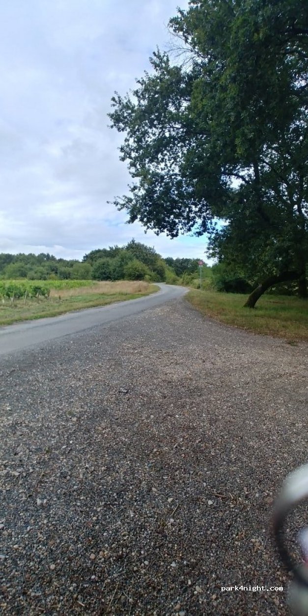(33480) Moulis-en-Médoc - Route de Cagnac — foto 2