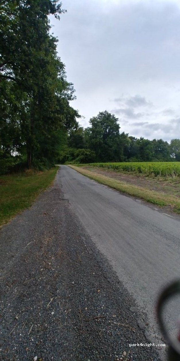 (33480) Moulis-en-Médoc - Route de Cagnac — foto 3