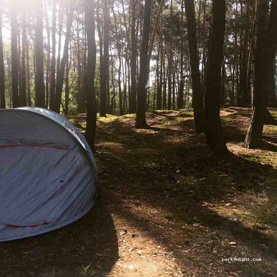 Camping — foto