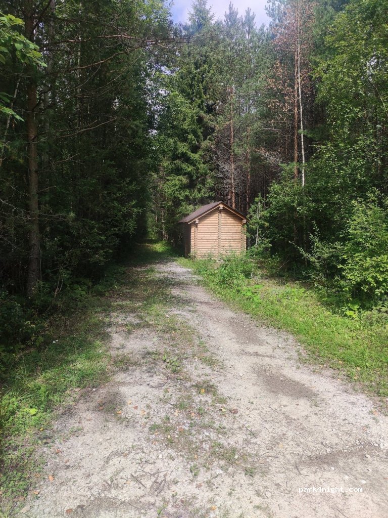 (41315) Ida-Viru maakond - Selisoo matkarada — foto 3