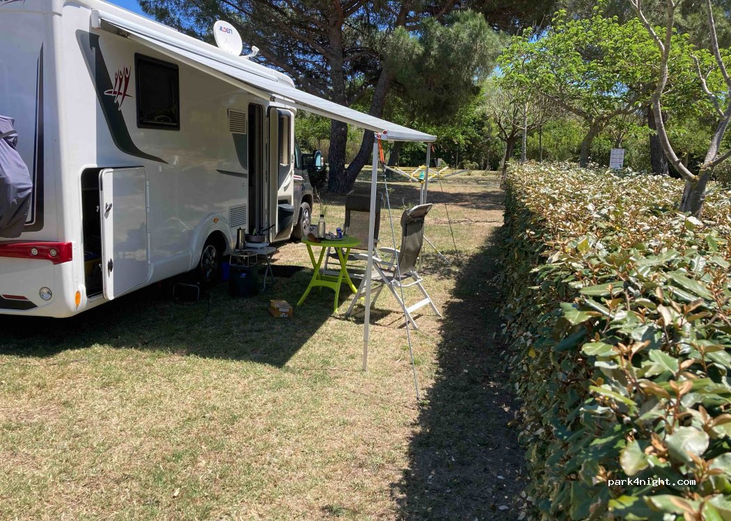 Camping oasis — foto