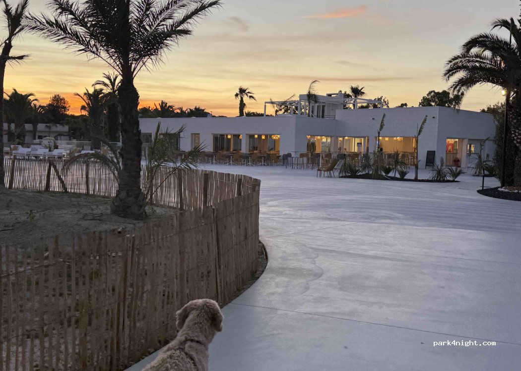 Camping oasis — foto 5