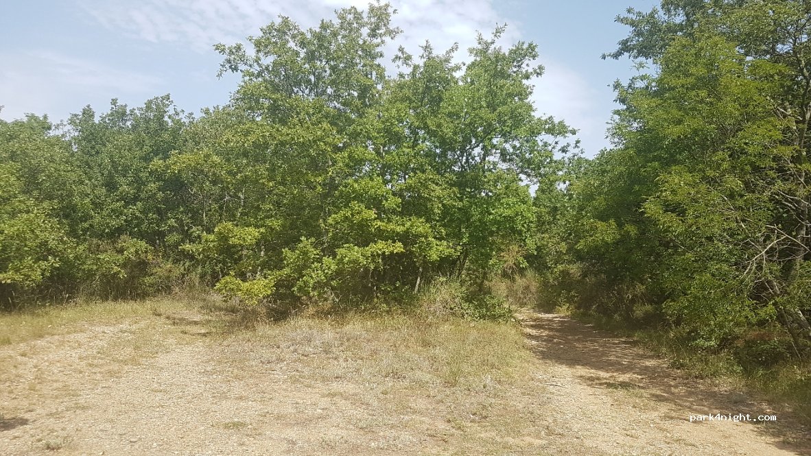 (53026) Pienza - Strada Provinciale 88 — foto 3