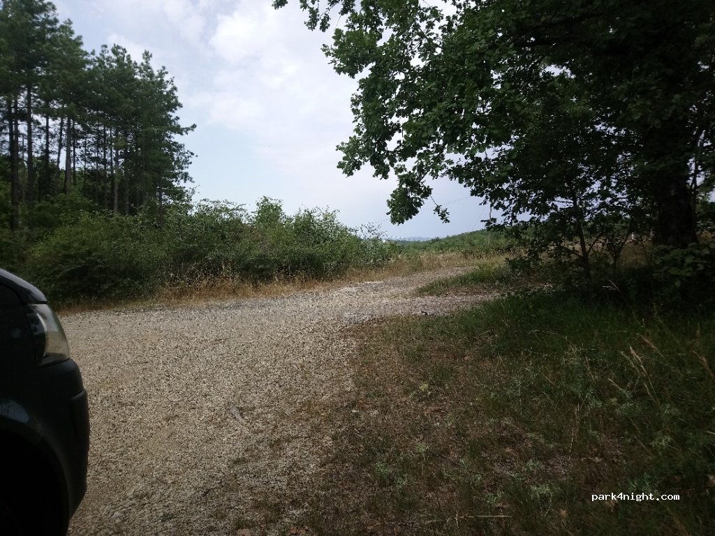 (53011) Castellina in Chianti - — foto