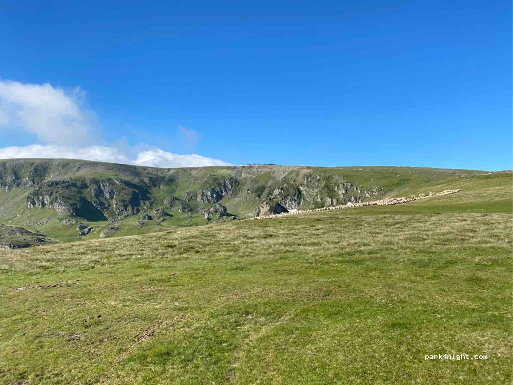 ()  - Transalpina — foto 2