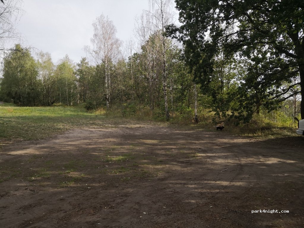 (06774) Muldestausee - Unnamed Road — foto