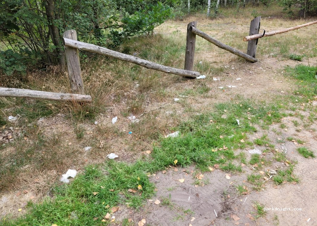 (12-200) Borki - Droga Krajowa 63 — foto 2