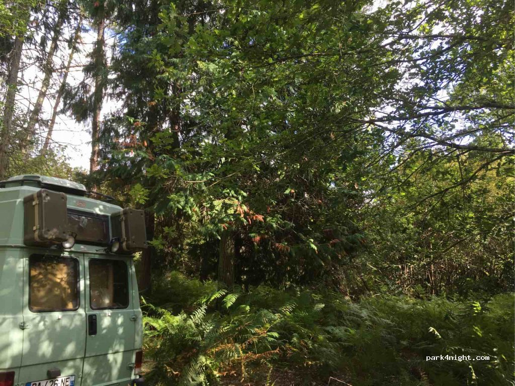 (40170) Lit-et-Mixe - Unnamed Road — foto 4