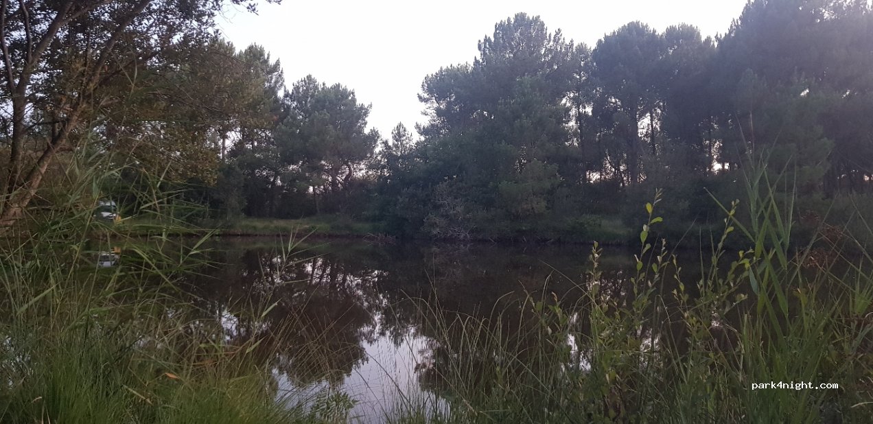 (40600) Biscarrosse - Route du Parterre — foto 2