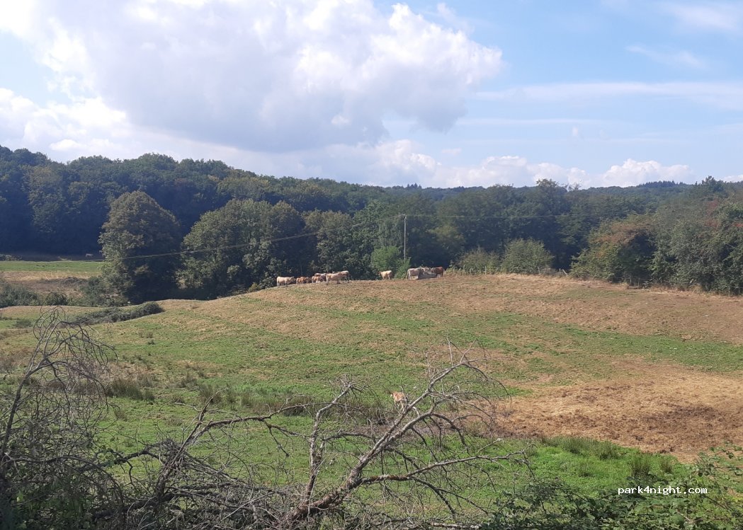 Camping OnlyCamp du Lac des Vergnes — foto 4