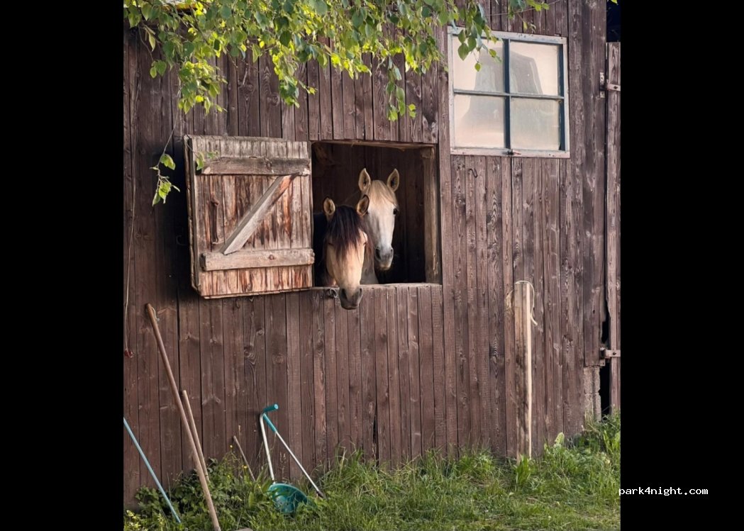 Stellplatz am Eggenberg — foto 4