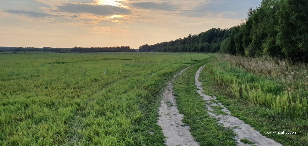 ()  - Жодзіна - Будагава - Бабі Лес - Кальнікі — foto