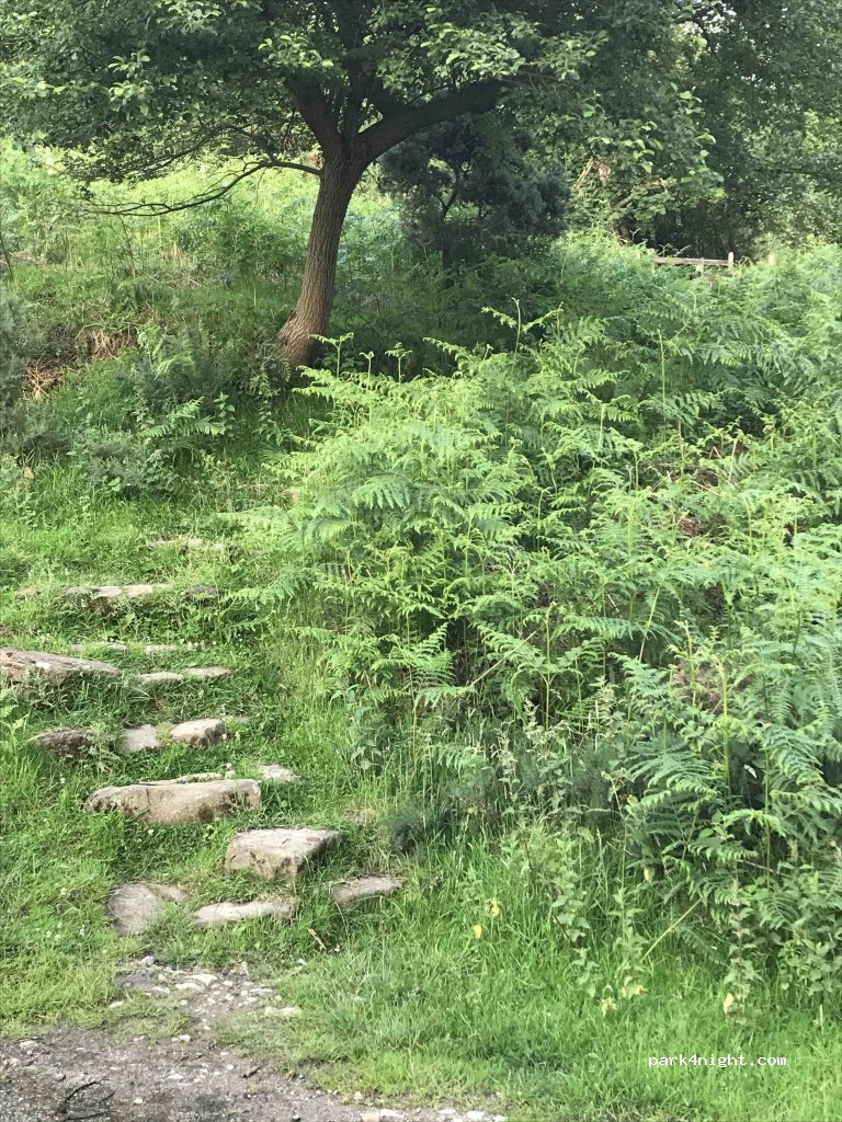(YO22 5JE)  - May Beck Farm Trail — foto 2