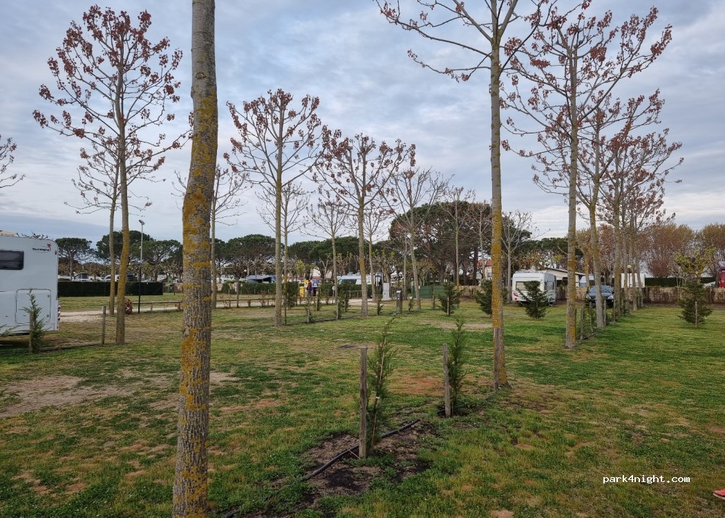 Camping Miramare — foto 4