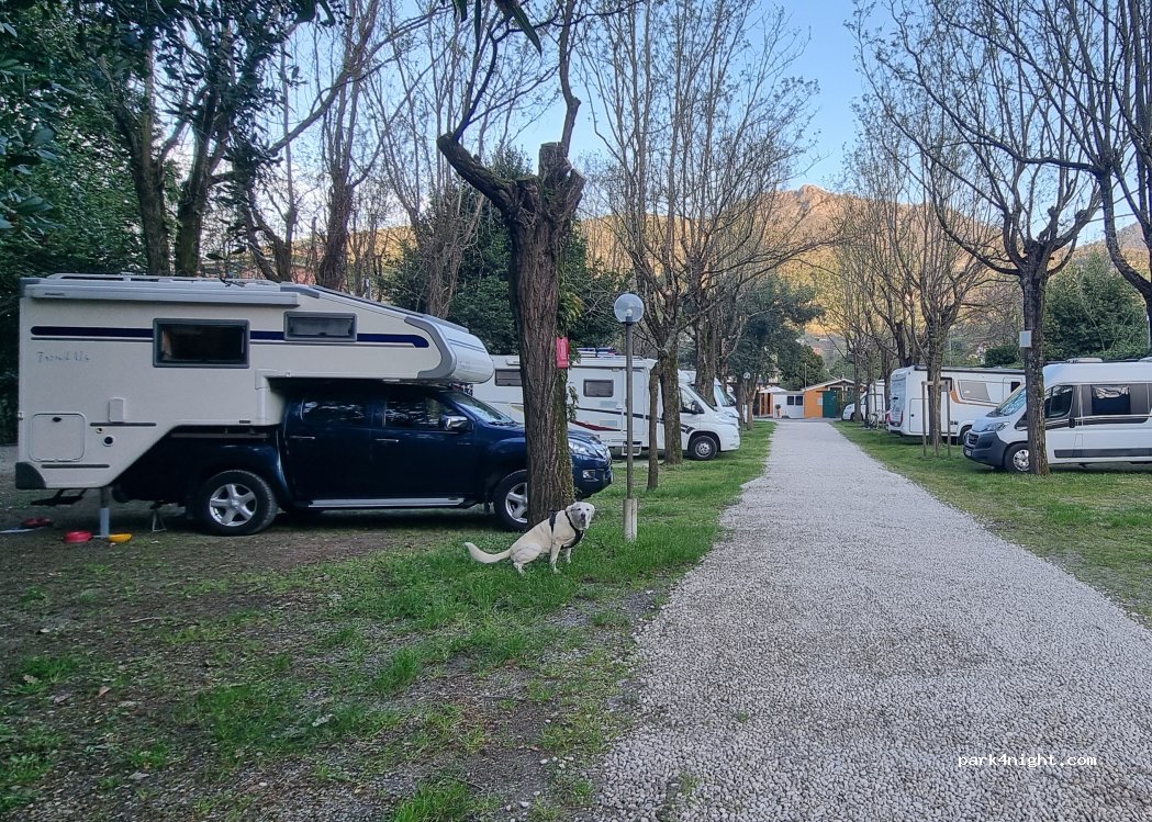 Camping Albero d'Oro — foto 5