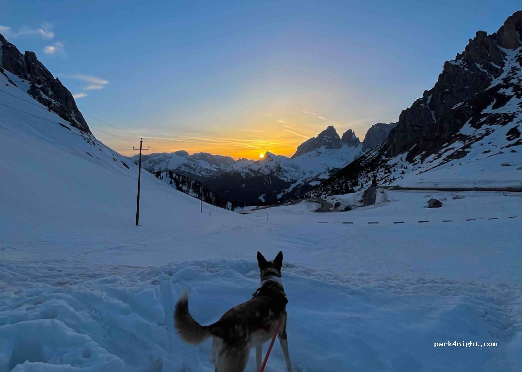 () Passo Pordoi - Strada Statale N. 48 — foto 4