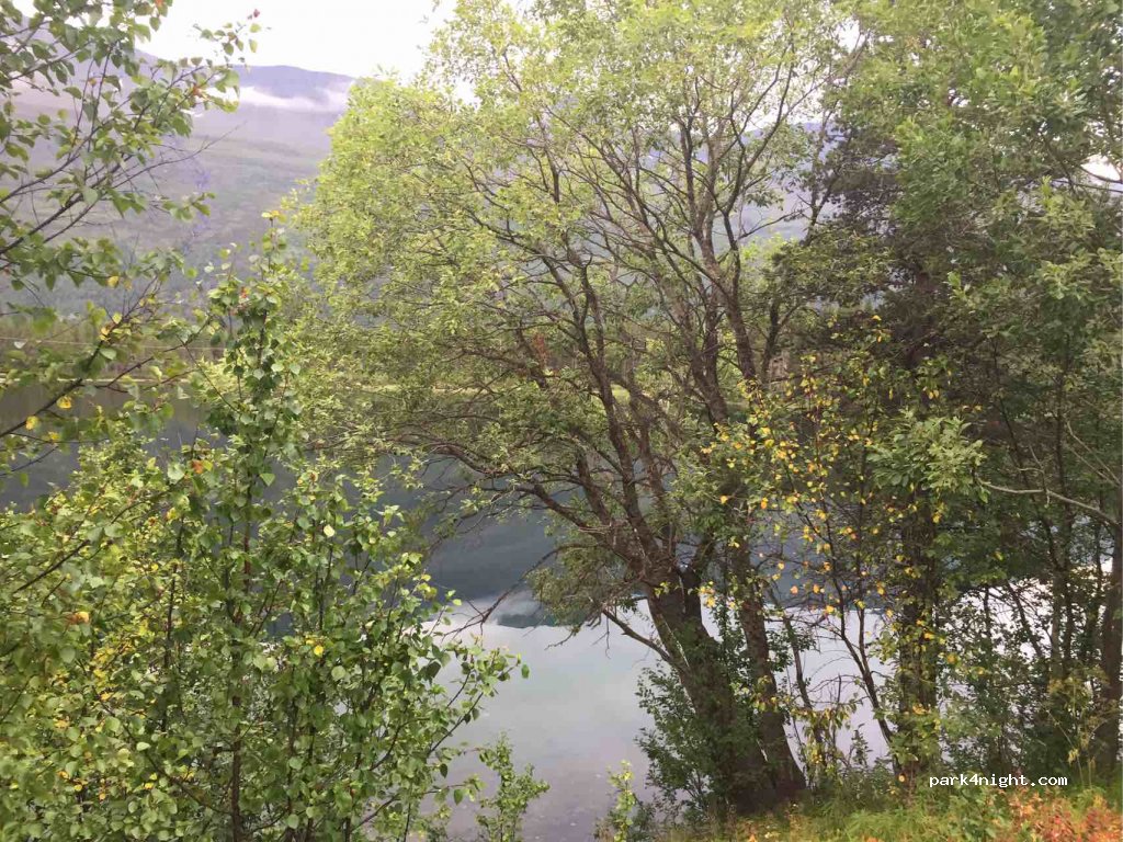 (9151) Storslett - Primær Fylkesveg 865 — foto 2