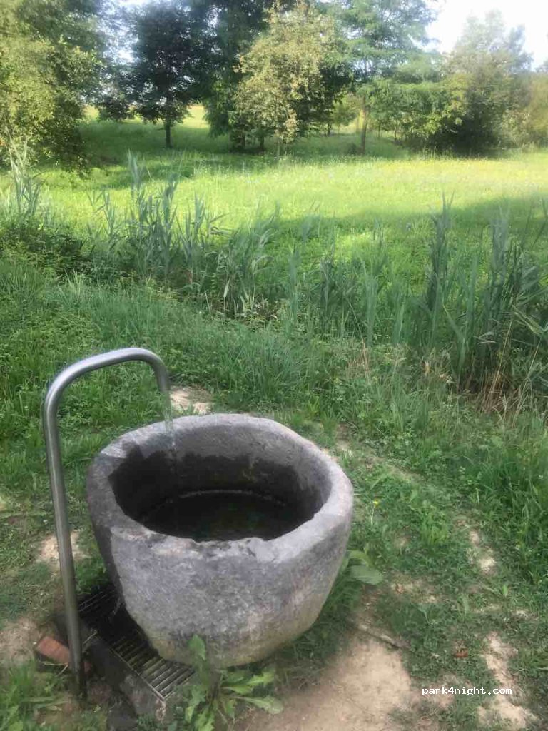 (33055) Muzzana del Turgnano - Strada Provinciale 121 — foto