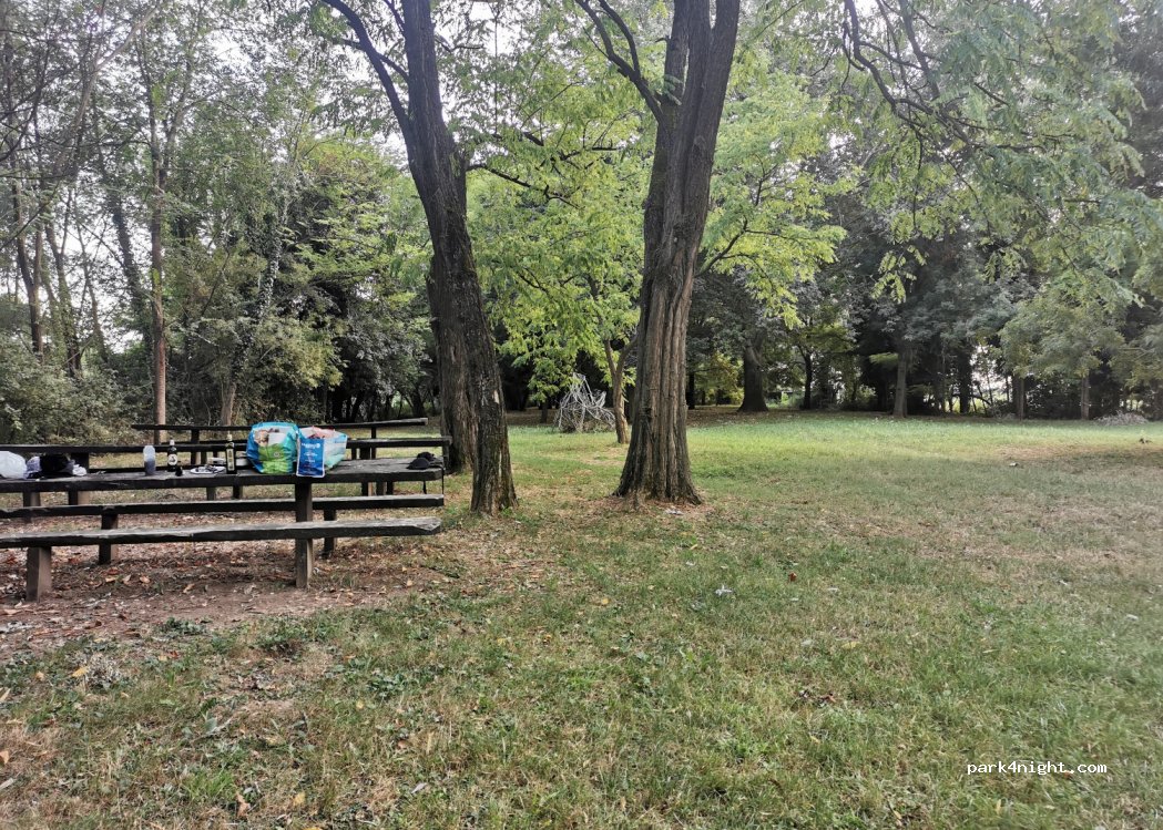 (33055) Muzzana del Turgnano - Strada Provinciale 121 — foto 3