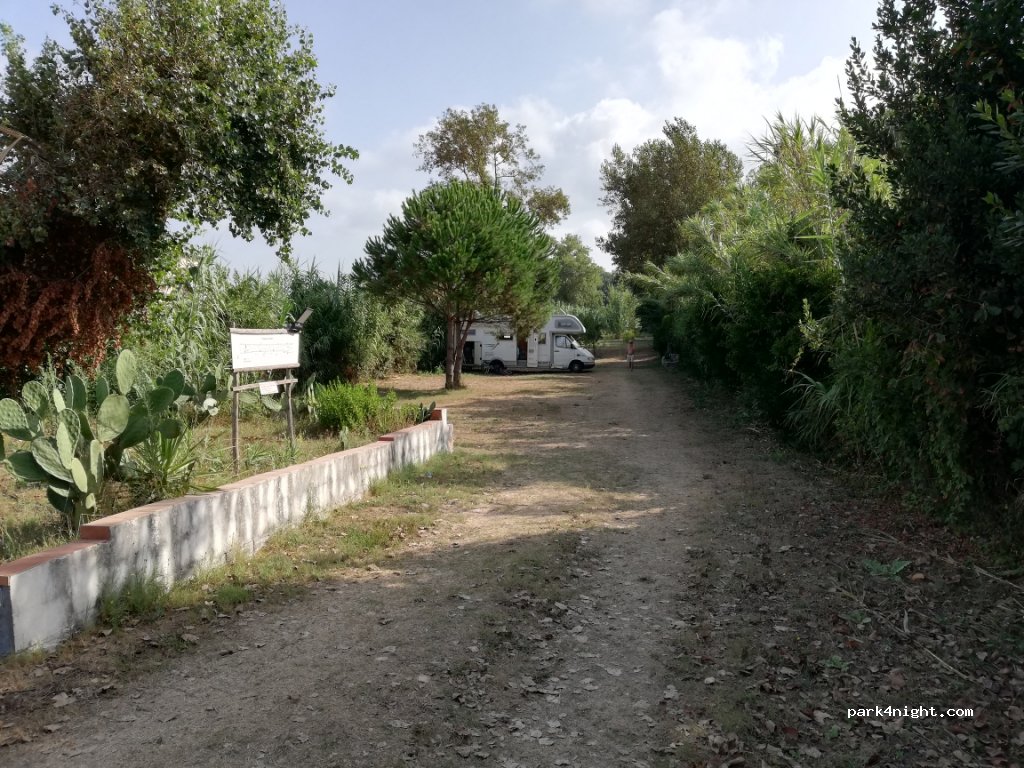Camping Il Girasole — foto