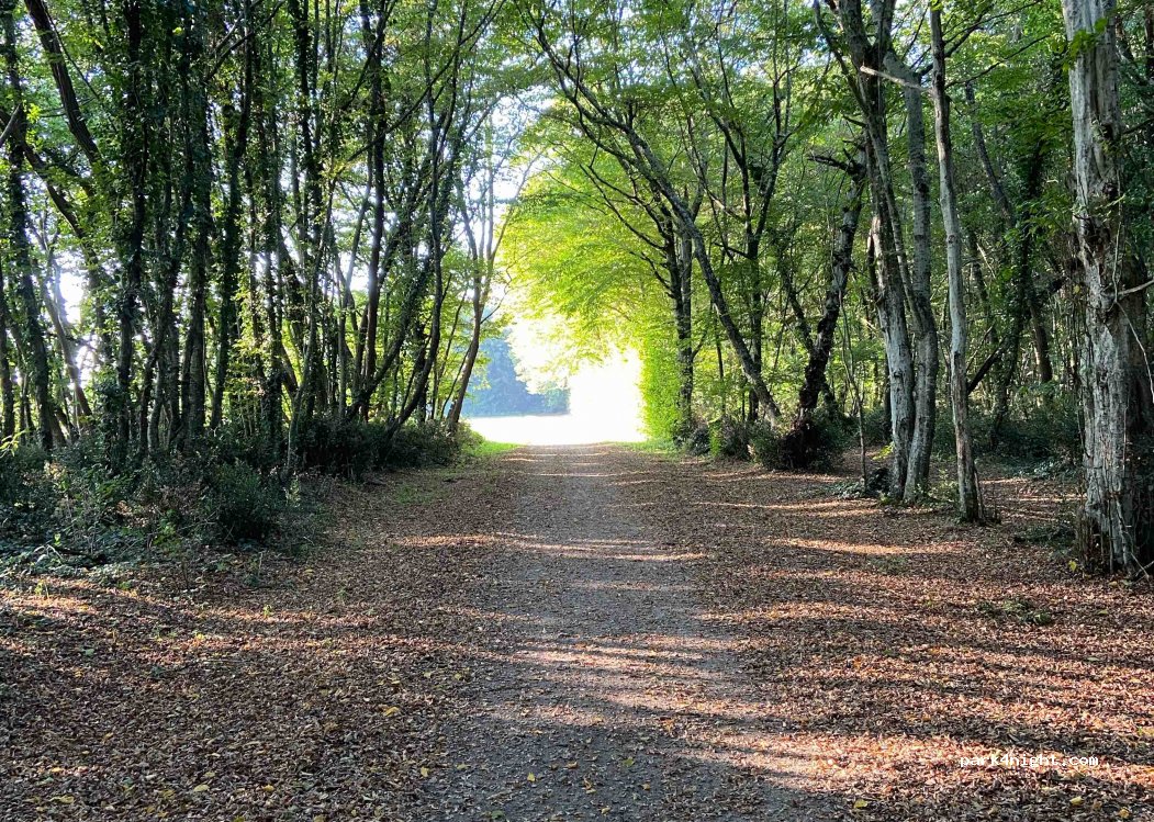 (16430) Balzac - Rue de l'Île Verte — foto 2