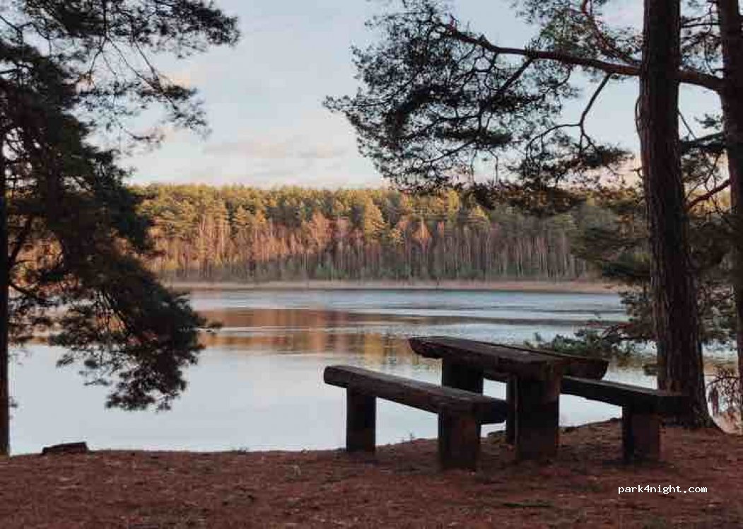 (15166) Nemenčinė - Unnamed Road — foto 4