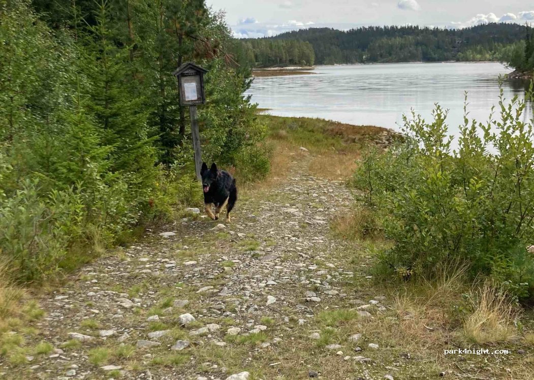 () Flesberg - Holmevasstangen — foto 3