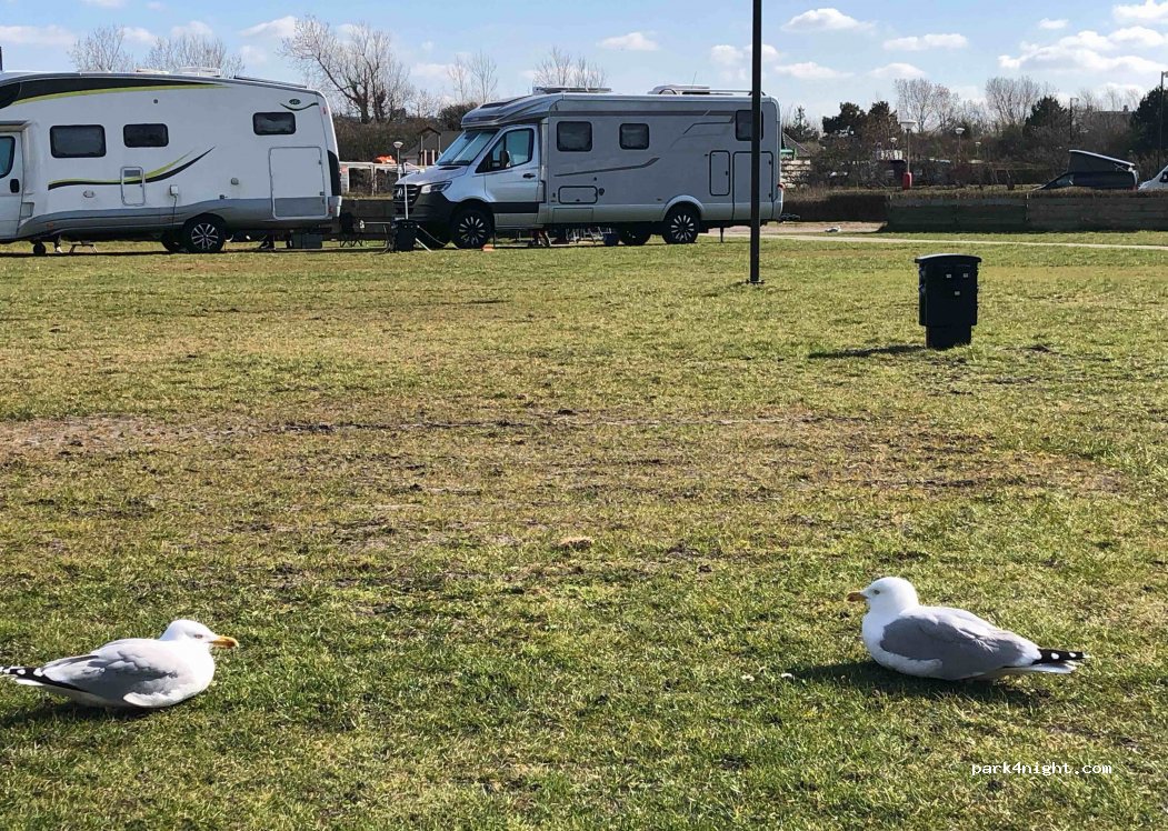 Camping de Noordduine — foto 3