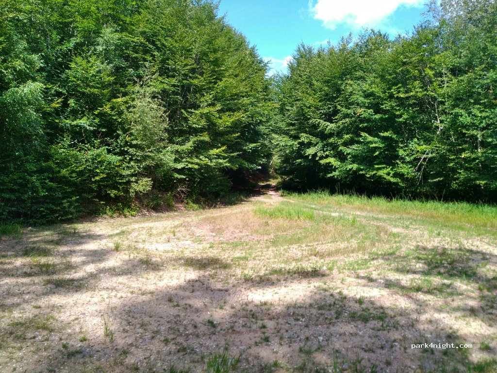 (88240) Gruey-lès-Surance - Unnamed Road — foto