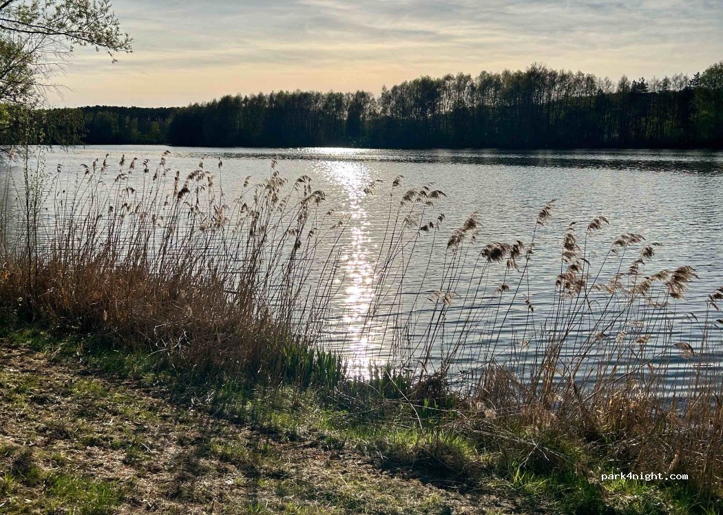 (90584) Allersberg - 34 Polsdorf — foto 2