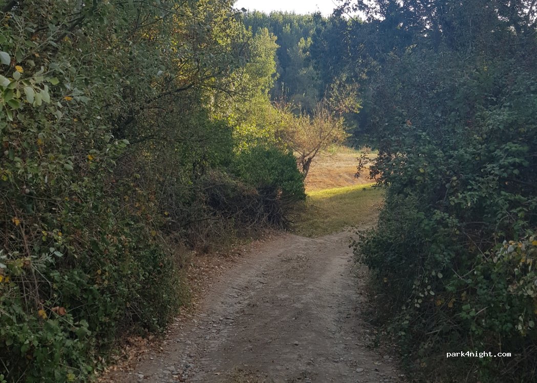 (31360) Funes - Unnamed Road — foto 3
