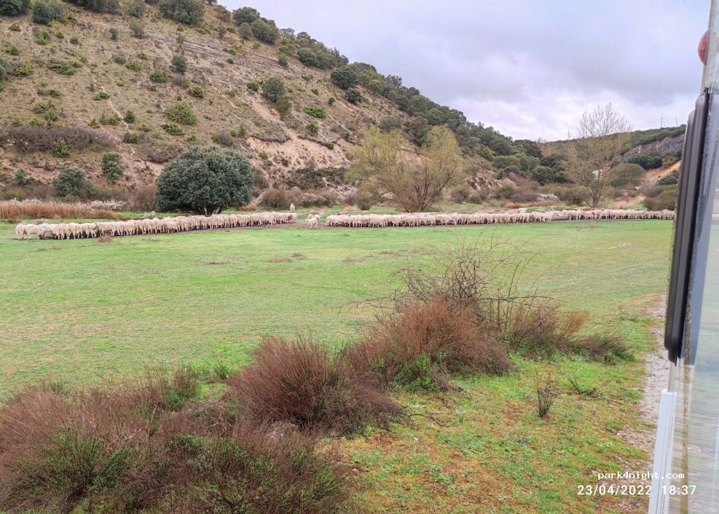(09351) Comunidad de Cubillo del Campo y Honto - BU-V-9012 — foto 2