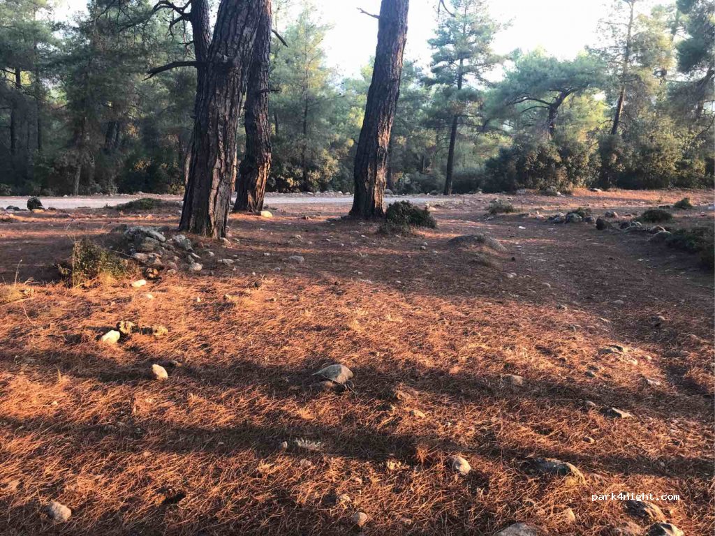 (48360) Seydikemer/Muğla - Unnamed Road — foto 3