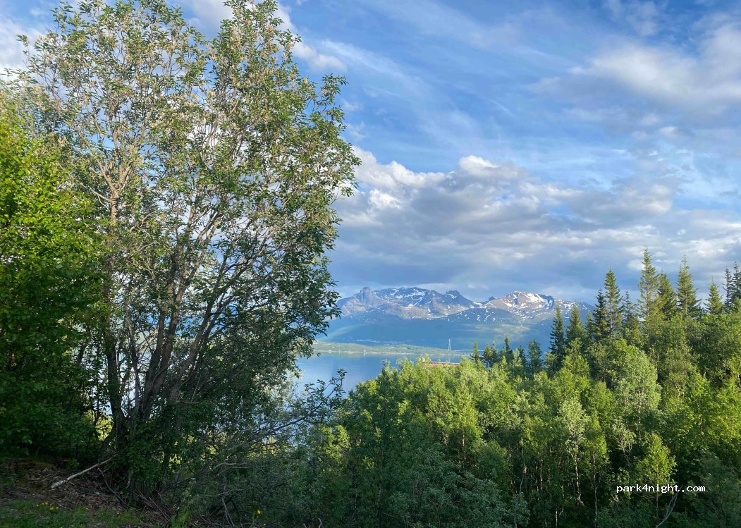 (8530) Bjerkvik - Unnamed Road — foto 2